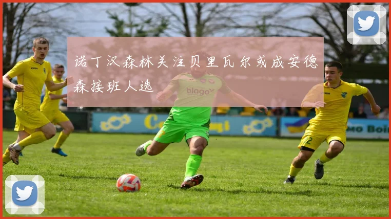 诺丁汉森林关注贝里瓦尔或成安德森接班人选