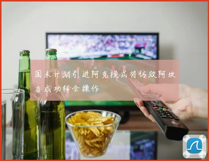 国米计划引进阿克模式将仿效阿坎吉成功转会操作